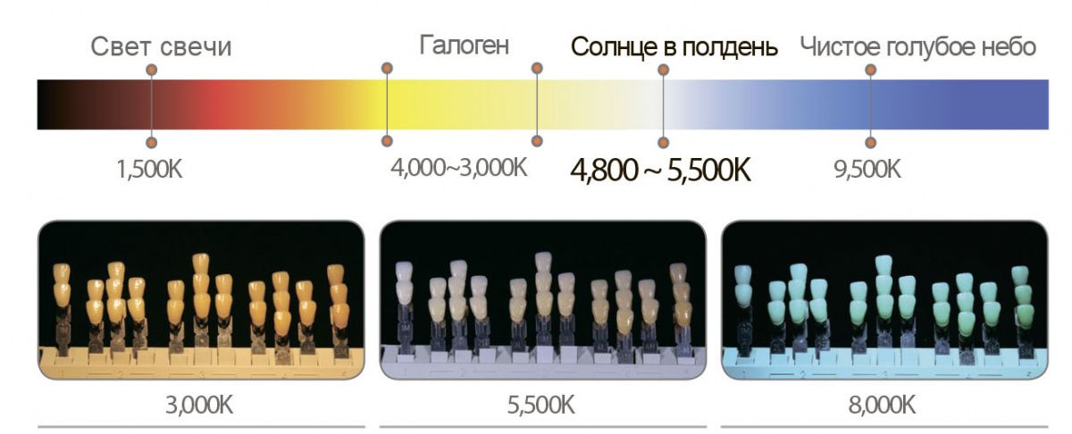 luvis-C6.jpg